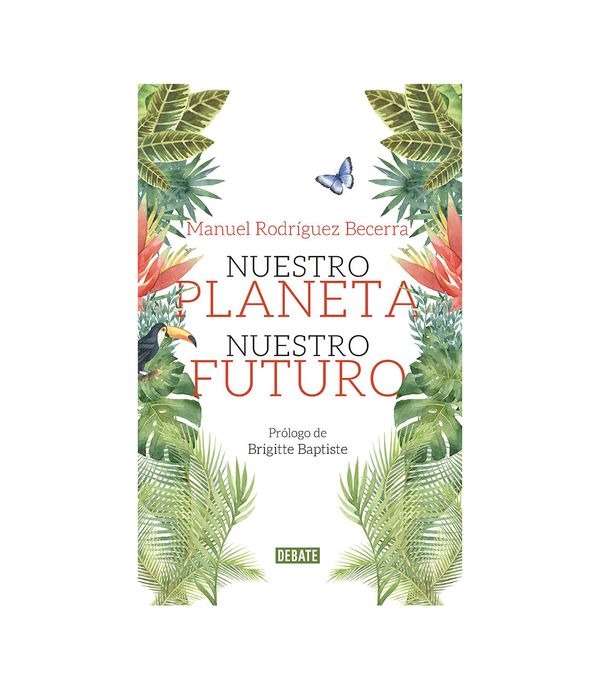 Entradas recientes